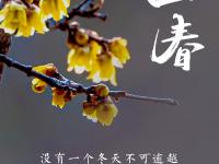 存了一年的节气海报 终于可以一下看完了