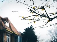  发现生活的小情趣|美图周赏③