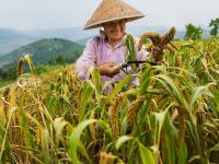 不平凡的2020㉗：我热爱的生活在镜头里