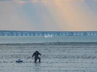  发现生活的小情趣|美图周赏③