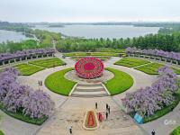 不平凡的2020㊹：用影像留住时光