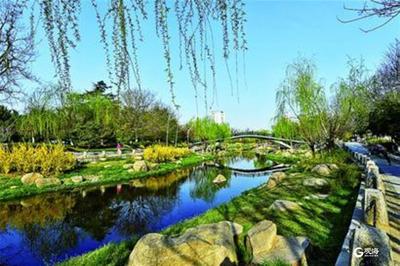 年底前完成40条道路绿化提升，市北列出城市品质提升小目标
