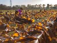 不平凡的2020㉗：我热爱的生活在镜头里