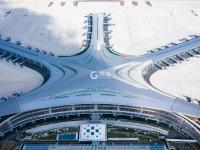 不平凡的2020㉕ ：发现生活的美