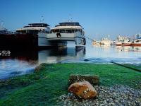 不平凡的2020㊵：发现美，记录美