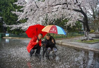 不平凡的2020㉛：这一年我的摄影经历