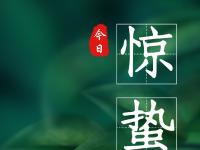 存了一年的节气海报 终于可以一下看完了
