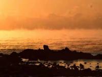 不光结冰，大海都被逼得冒烟了