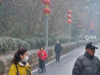 冬日降寒霜 万物披雪衣