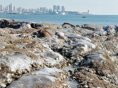 海上最低温-17.9℃，海洋所观测站实时监测2021年首个强寒潮过程