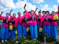 不平凡的2020⑳：记录生活的点滴