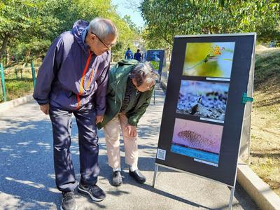 不平凡的2020㉒：镜头对准普通人
