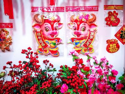 寒冬腊月不用怕 “牛气冲天”驱严寒！