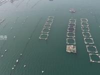 不平凡的2020㊶：光映时代百态