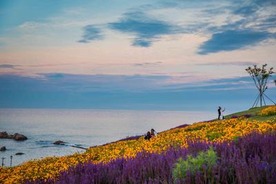 不平凡的2020㊱：藏在镜头中的掠影