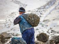 冰雪消融，这帮赶海人又闲不住了