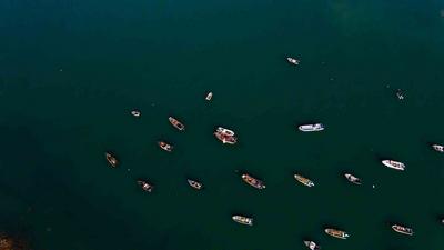 不平凡的2020㊱：藏在镜头中的掠影