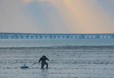  发现生活的小情趣|美图周赏③