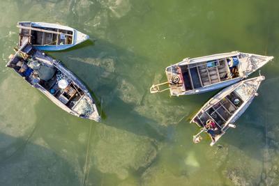 唐岛湾海水结冰，渔船与海冰相映成景