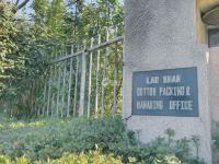 这是照片？铅笔画风格的青岛春景请查收~