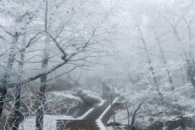 云海在前，雾凇在后，崂山又美出新高度！