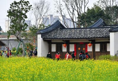 福建福州：游古厝，赏“花海”