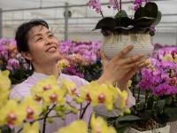 花贺新年 助推乡村振兴