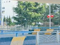 这是照片？铅笔画风格的青岛春景请查收~