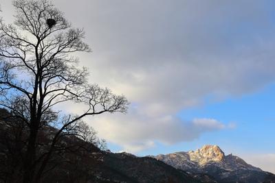 隆冬时节，崂山区的“山海气概”
