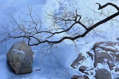 隆冬时节，崂山区的“山海气概”