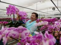 花贺新年 助推乡村振兴