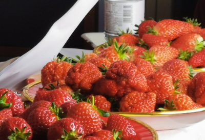 回放 | 比鸡蛋还大？青岛大场草莓开摘