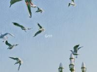 这是照片？铅笔画风格的青岛春景请查收~