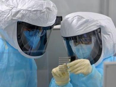 英国报告的变异新冠病毒出现新突变，或可躲避免疫系统攻击