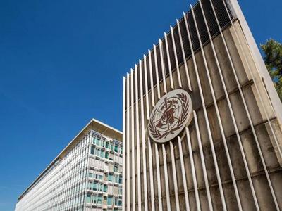 多位世卫专家评《纽约时报》涉华报道：断章取义，“太无耻”！