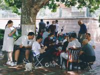 不平凡的2020㊺：摄影是一种有趣的生活方式