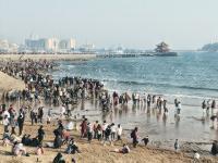 这是照片？铅笔画风格的青岛春景请查收~