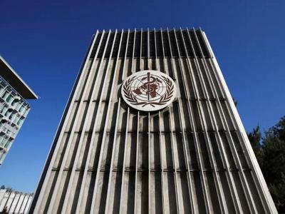 世卫专家回怼美国国务院：美方情报在许多方面都是错误的