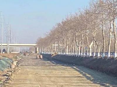 青岛北部新增一条高等级公路通道，G204烟沪线莱西段改建项目年内通车　