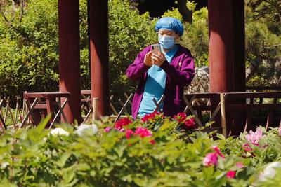 不平凡的2020㊺：摄影是一种有趣的生活方式