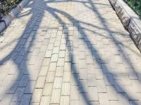 这是照片？铅笔画风格的青岛春景请查收~