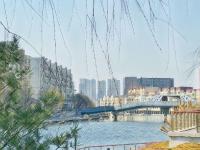 这是照片？铅笔画风格的青岛春景请查收~