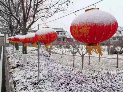 气温走低，青岛飘雪！天空还降下冰粒，今夜到明天仍有雨夹雪