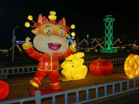 亮了亮了，新年花灯等你来看