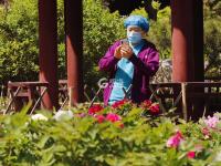 不平凡的2020㊺：摄影是一种有趣的生活方式