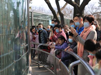 春节假期国内旅游出游2.56亿人次，恢复至疫前同期的75.3%