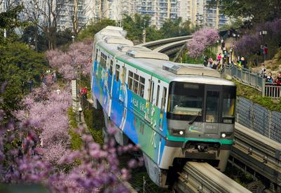 重庆：一路繁花相送，带你驶向春天