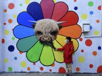 牛年看牛，这里也是一处好地方