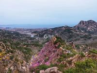 不平凡的2020㊺：摄影是一种有趣的生活方式