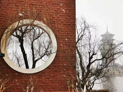 青岛今天真下雪了！肉眼可见的那种！